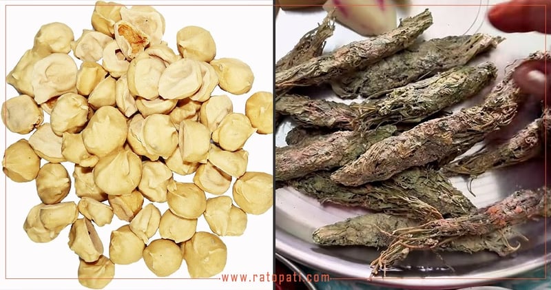 अदौरी र बिरिया मिथिला थाल