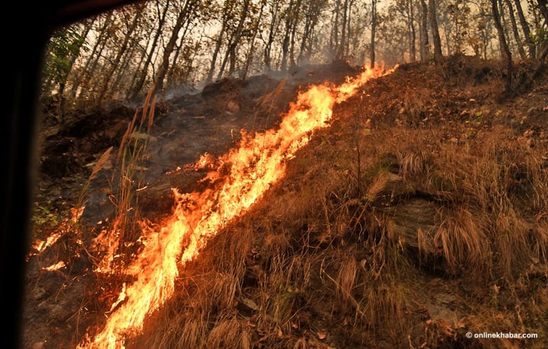 डढेलोबाट जुम्लामा ३३० हेक्टर वन क्षति