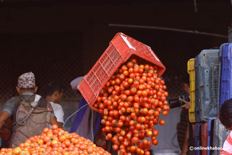 एकैदिन २२ प्रतिशतसम्म बढ्यो गोलभेँडाको मूल्य