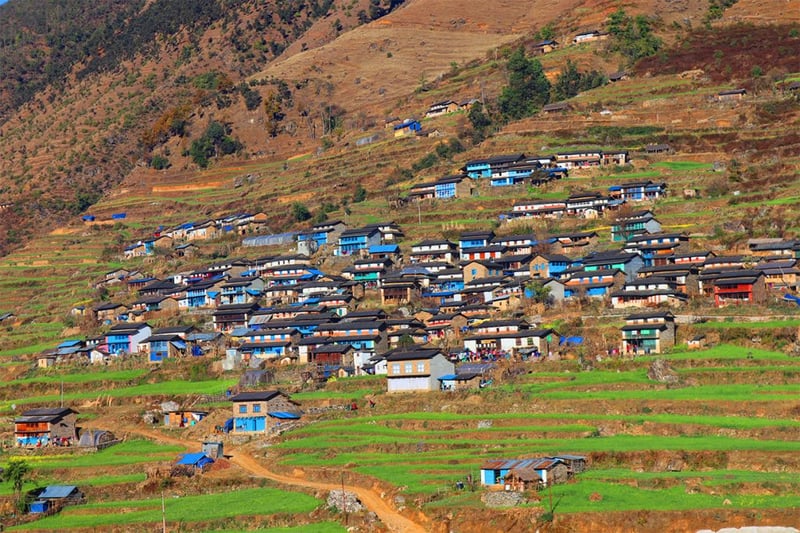 ढोरपाटनको दादुरा नियन्त्रण गर्न खोप लगाइँदै