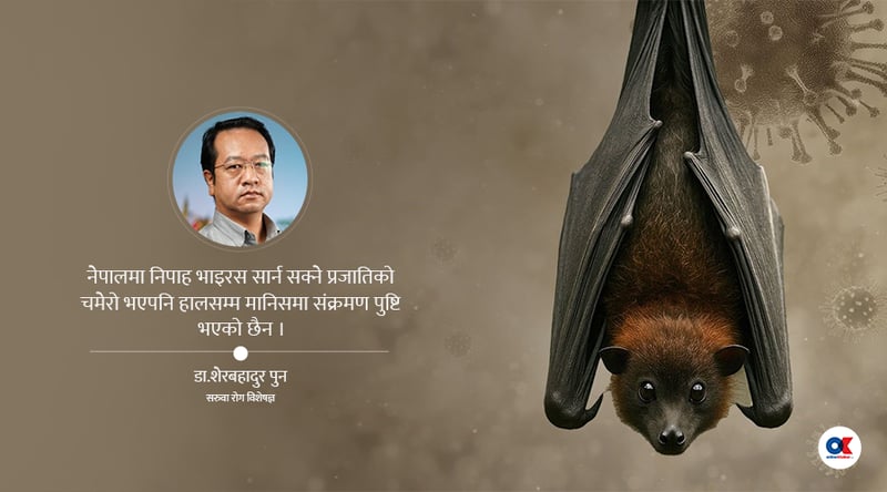 भारतका स्वास्थ्यकर्मीमा निपाह भाइरस संक्रमण, नेपाल कति सुरक्षित ?