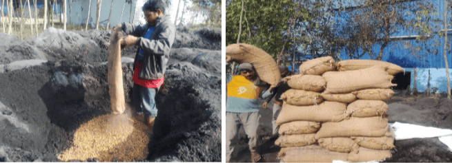 बाँकेको ‘डल्फिन फिड्स’ मा भेटिएको साढे २ टन अखाद्य मकै नष्ट