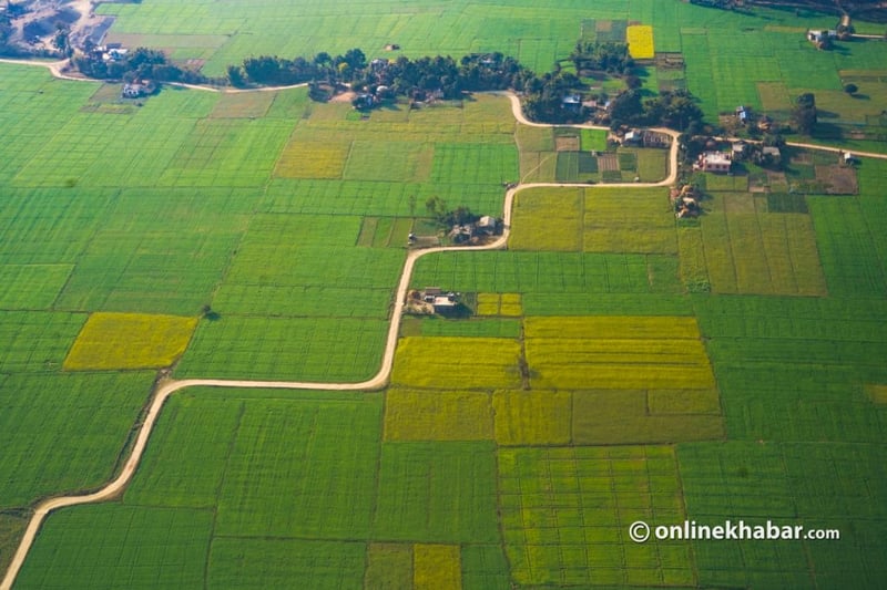 सुदूरपश्चिमको सुनौलो यात्रा (फोटो फिचर)