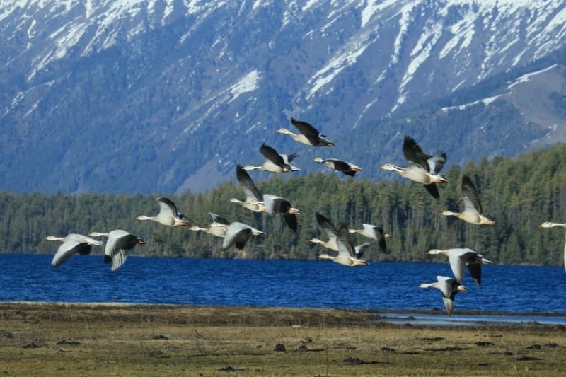 अतिक्रमण र प्रदूषणले सङ्कटमा सिमसार