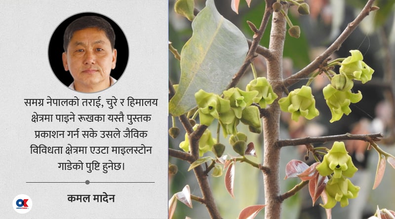 जलथलको जैविक धरोहर : ठेकीफल अझै मनग्गे