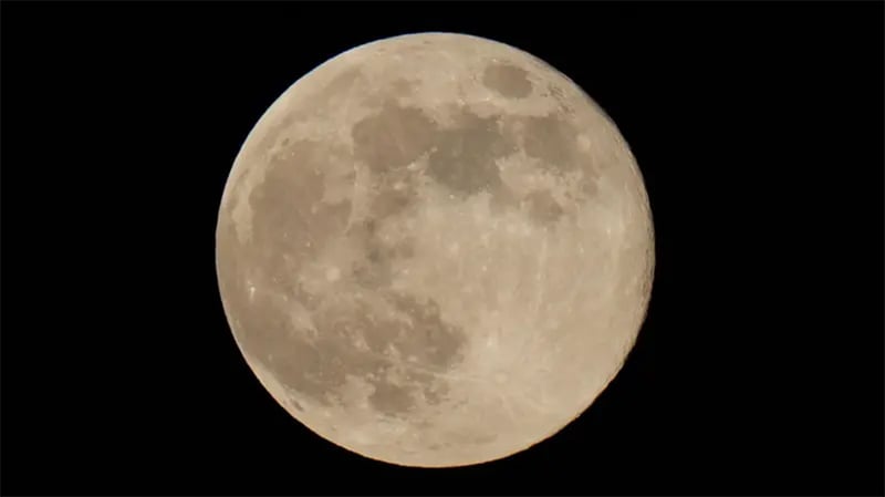 एलन मस्कले फेरे योजना, मंगल ग्रहमा होइन चन्द्रमामा बसाउन चाहन्छन् शहर