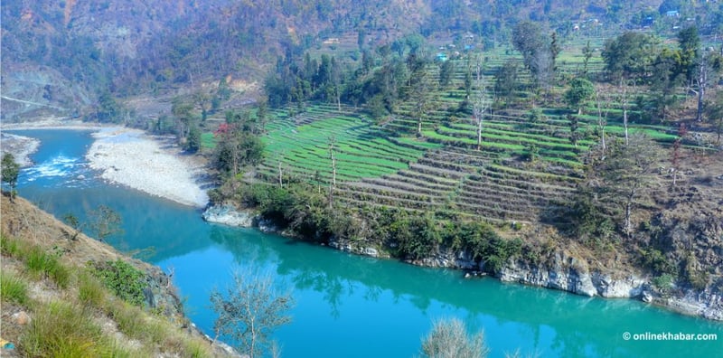 नीलो भेरी, हरियाली जीवन (तस्वीरहरू)