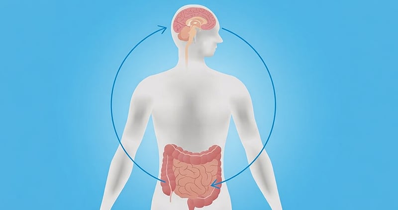 चिन्ता र पेटको स्वास्थ्यबीच के सम्बन्ध छ ?