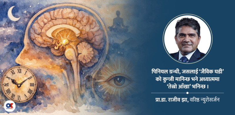 मस्तिष्कको रहस्यमय पिनियल ग्रन्थी, जसले नियन्त्रण गर्छ चेतना