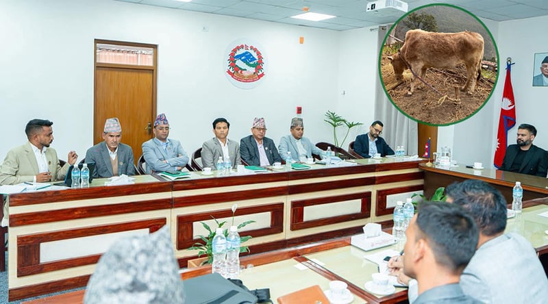 दुर्लभ ‘नौ मुठ्ठे’ गाईको संरक्षण र बजारीकरण गर्न प्रधानमन्त्रीसँग सांसद खनालको ध्यानाकर्षण