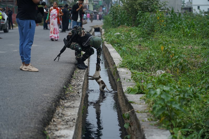 एउटा मर्मस्पर्शी दृश्य : जब सुरक्षाकर्मीले नालीमा फसेको कुकुरको बच्चा निकाले