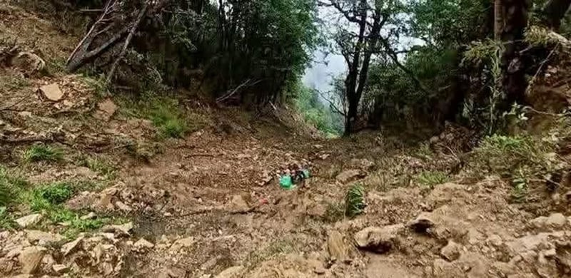 रोल्पाको जलजला जिप दुर्घटनामा १७ जनाको मृत्यु