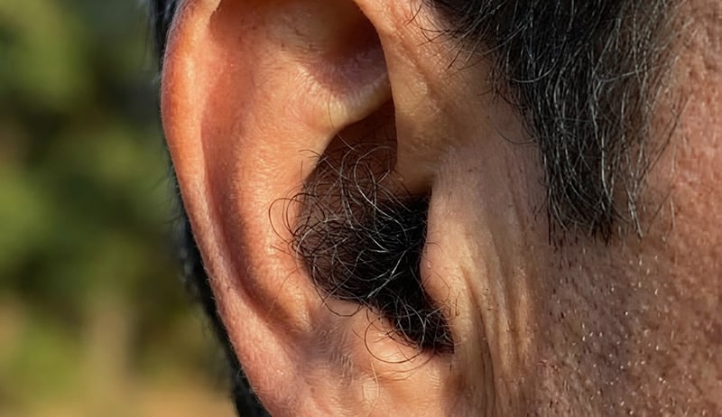 कानमा रौं हुनुले के-के गर्छ ? समुद्र शास्त्रको यस्तो व्याख्या