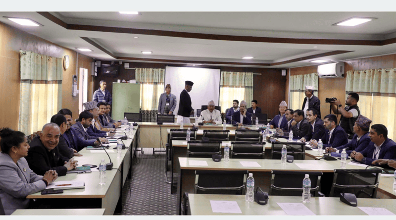 एमालेसहितका साना दलहरूले खोजे संसद्मा सम्मानजनक सहभागिता