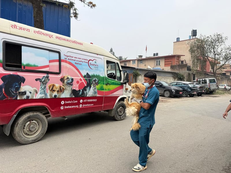 सुकुमवासी बस्तीका पशुप्राणीको यसरी हुँदैछ उद्धार