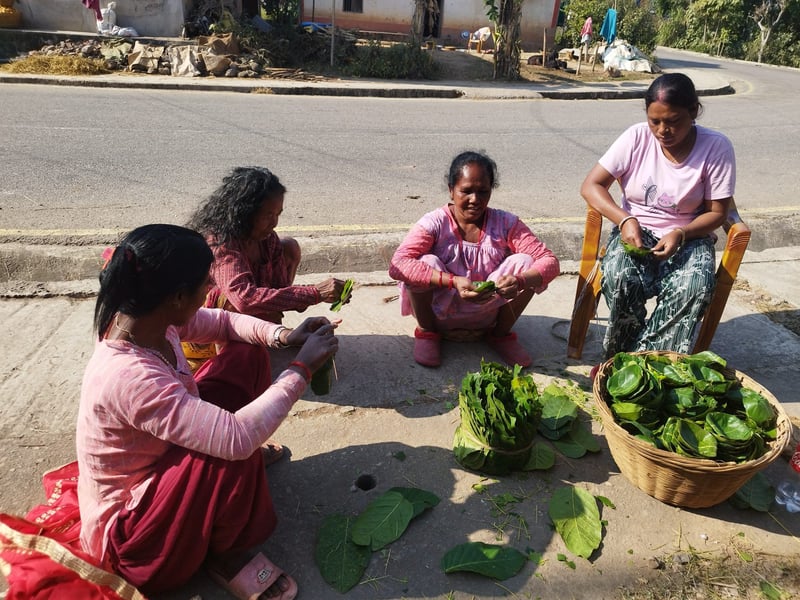 थारु बस्तीमा माघी पर्वको तयारी सुरु