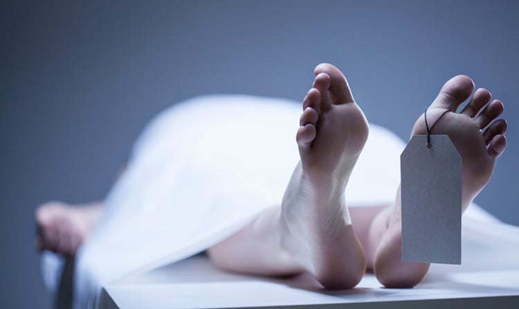 सवारी दुर्घटनामा घाइते प्रहरी निरीक्षक लामाको मृत्यु