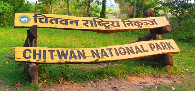 Tourist arrivals up in Chitwan National Park