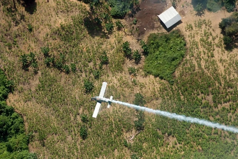 Colombia resumes spraying drug crops with drones