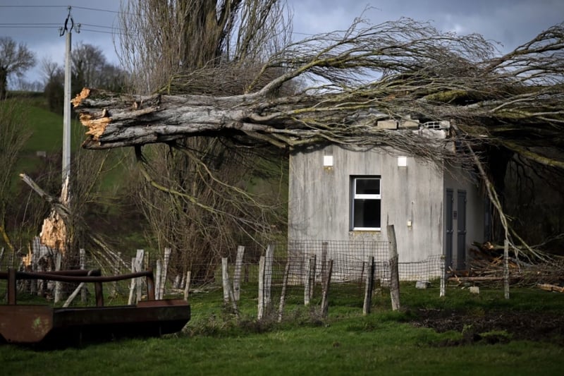 New UK death after storms, 100,000 French homes without power