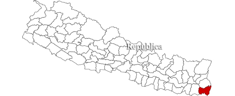 Police recover pistol and ammunition in Jhapa
