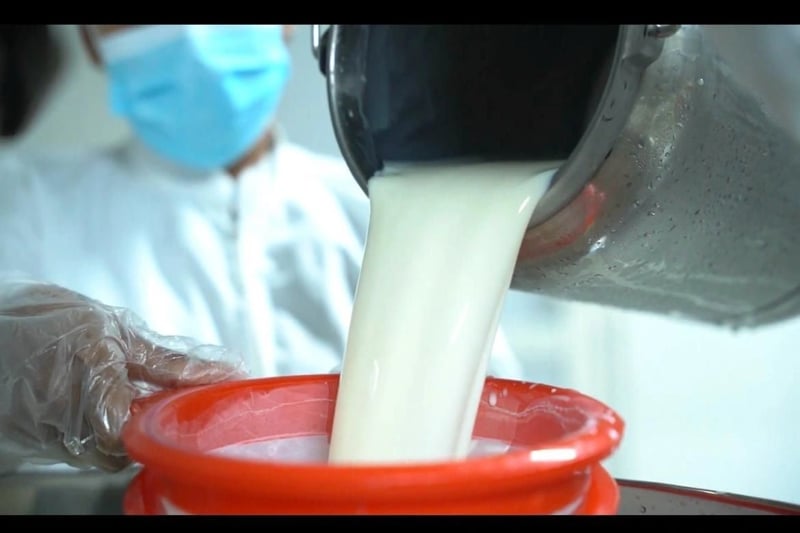 Overseas lessons, home country success: The story behind Milk Art