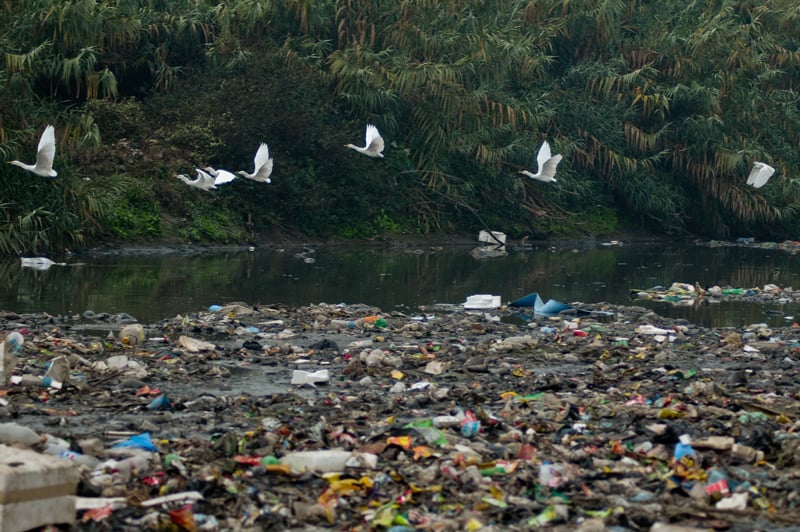 Health threat of global plastics projected to soar