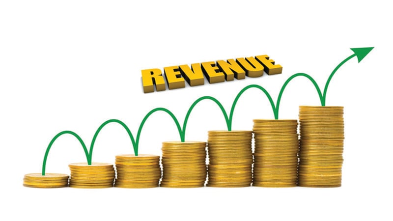 Revenue shortfall forces govt to cut grants to provinces, local bodies