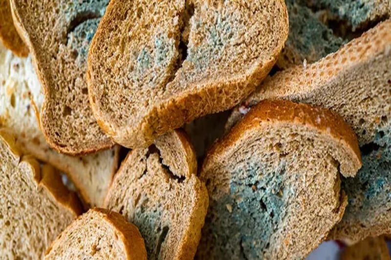 Weak Inspections, Unsafe Food