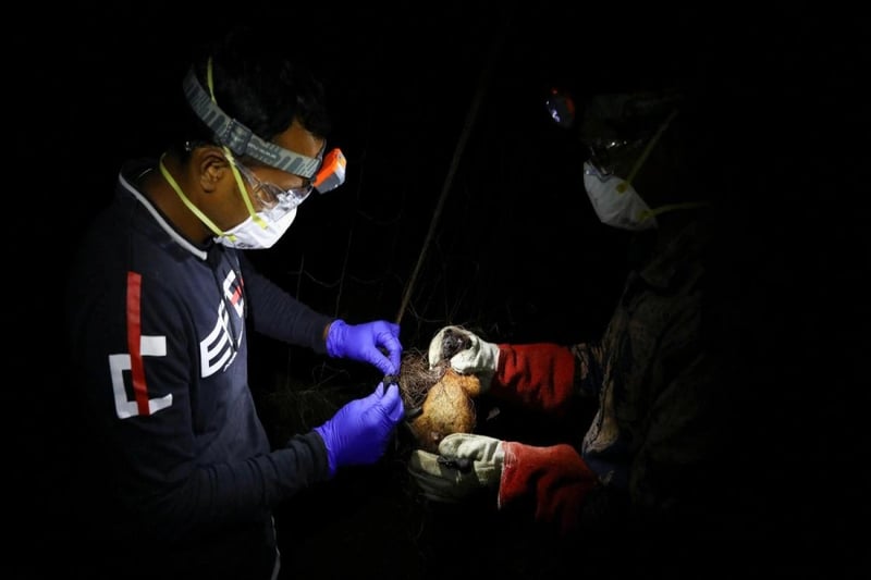 Risk of Nipah spread low after cases in India, Bangladesh: WHO