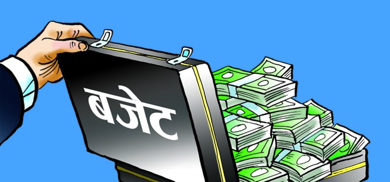 12-member Revenue Advisory Committee formed to suggest measures for FY 2026/27 budget