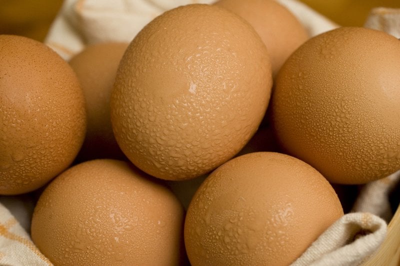 Egg price drops by Rs 90 per crate