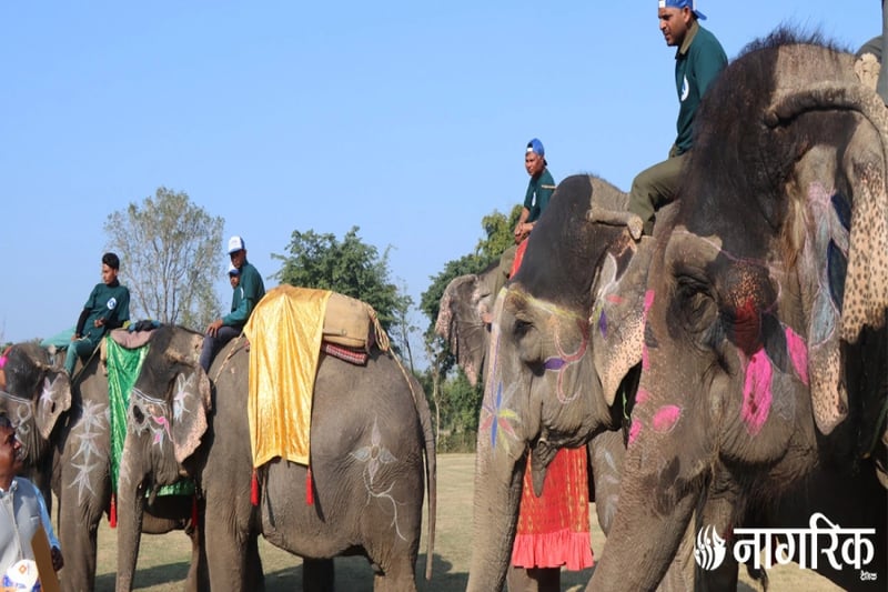 Final day of Elephant Festival in Sauraha today