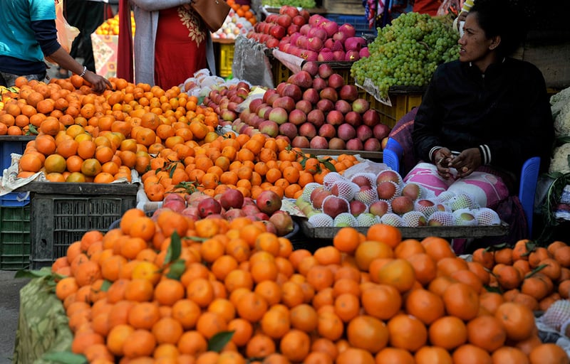 Annapurna Rural Municipality supplies oranges worth Rs 40 million as prices nearly double