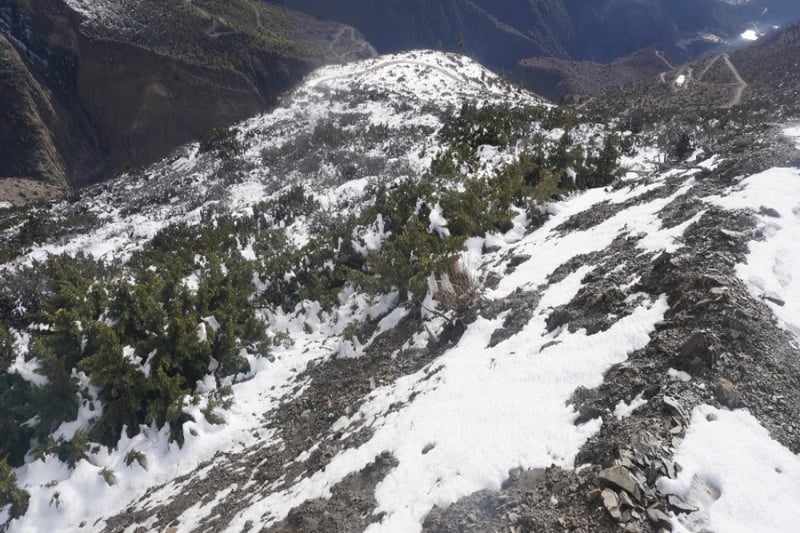 Snowfall cheers Mustang farmers