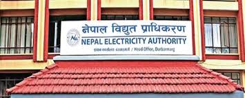 NEA's 'Digital Infrastructure Company' comes into operation