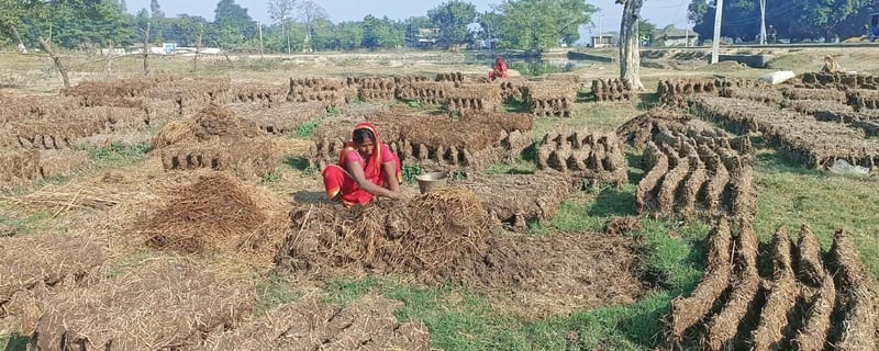 Dung cakes still fuel rural kitchens in Madhes