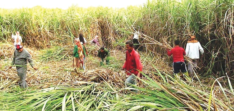 47 farmers in Parbat provided with grant assistance