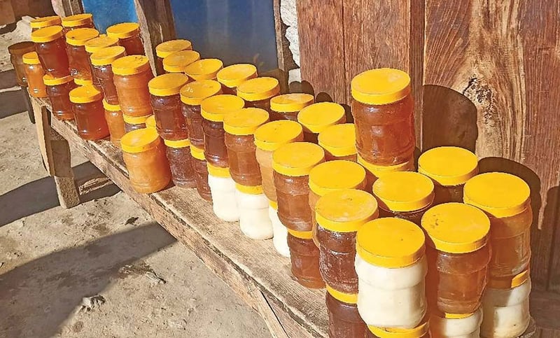 Humla’s honey sales hit Rs. 45 million