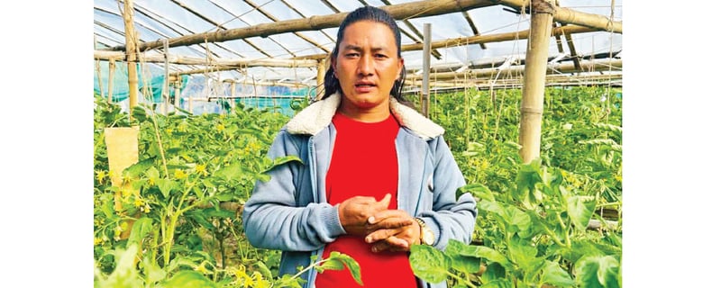 Migrant returnee Garbuja creates jobs at home