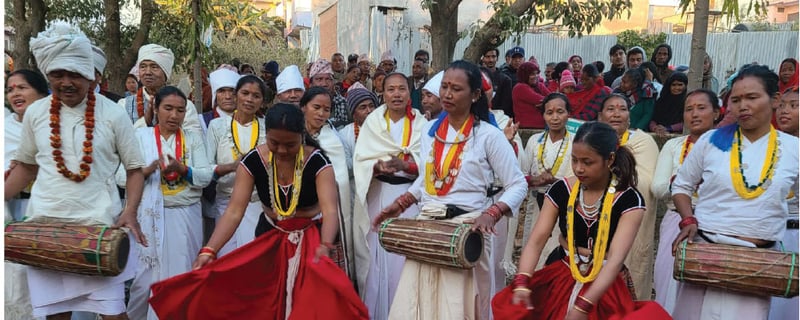 Tharu culture brings income