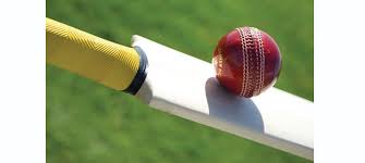 Indian company SG's sponsorship to Gulshan Jha for one year