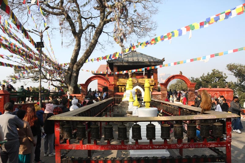 Shree Panchami: People throng Saraswati temples to pay homage to deity of arts, learning