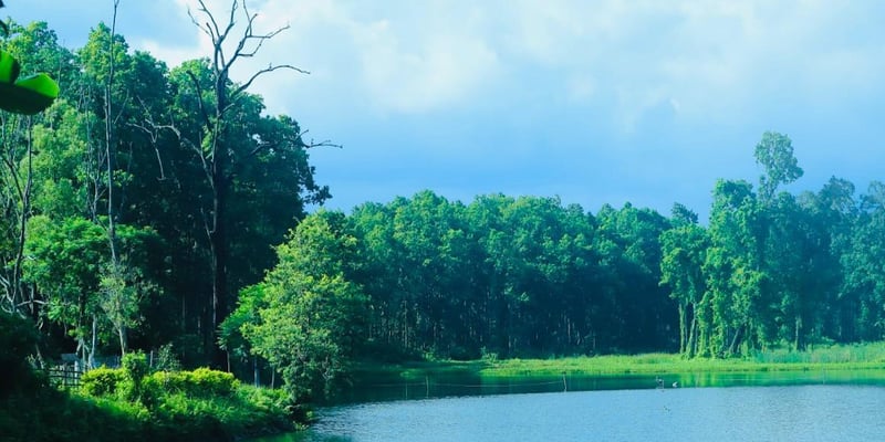 Betana wetland turning into tourism destination