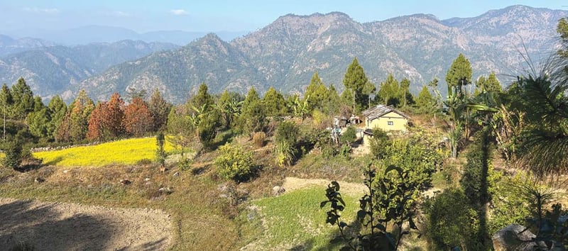 The Border Inside Homes