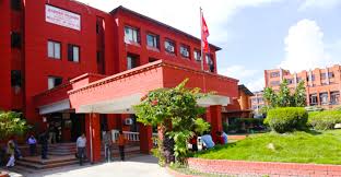 Health Ministry urges to remain alert of Nipah virus infection despite low risk