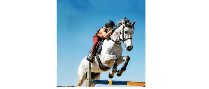 FDB to organise 7-day horse riding training