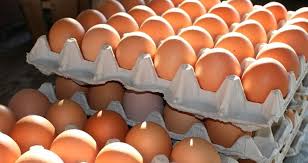 Egg prices hiked
