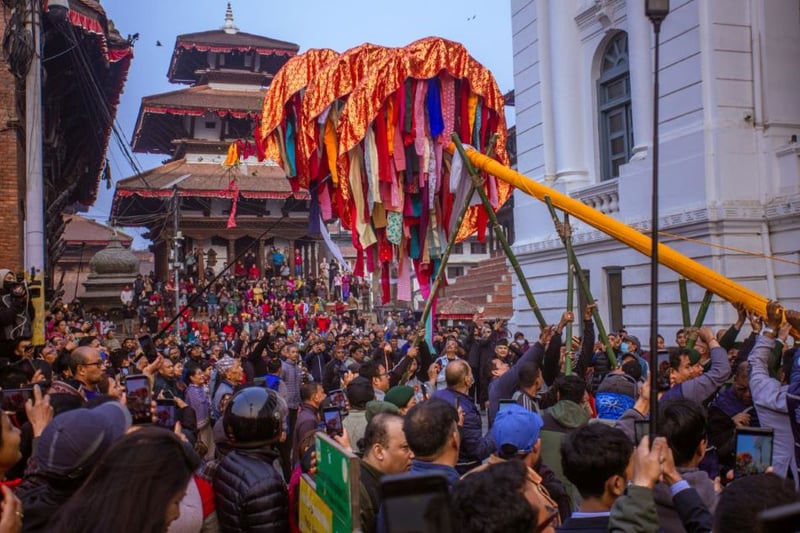 Ritualistic wooden pole with Chir erected at Basantapur, marking start of Holi festival