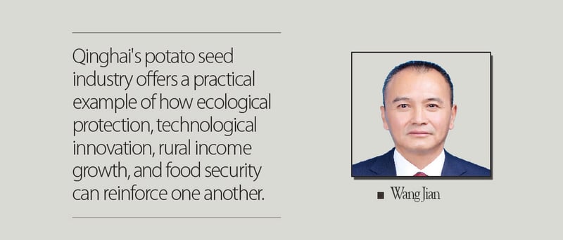 'Golden Seeds' Glitter On Roof Of World